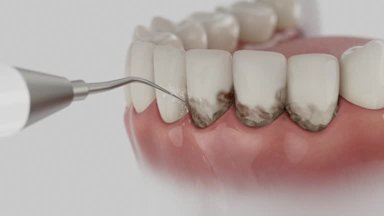 Reliable Dental contractor in Lakesite, TN by Dentist Open Now